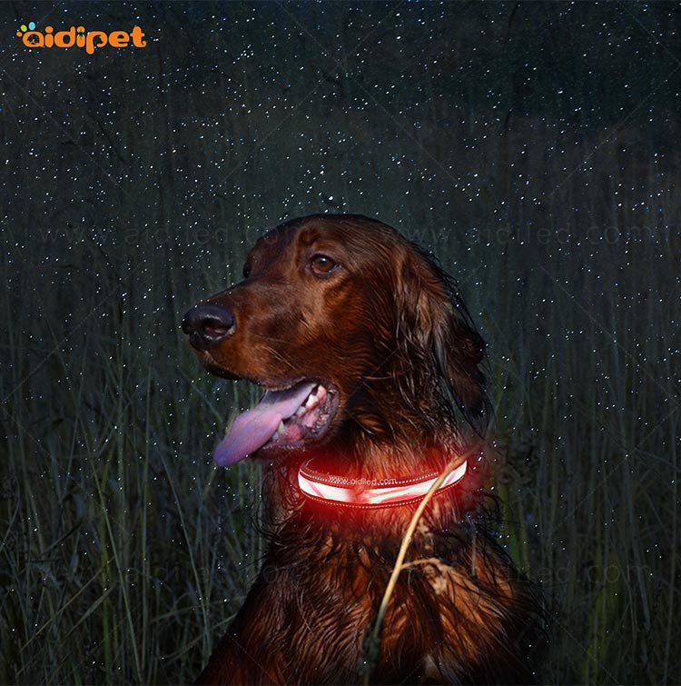 AIDI dog collar led flashing light design for park-9