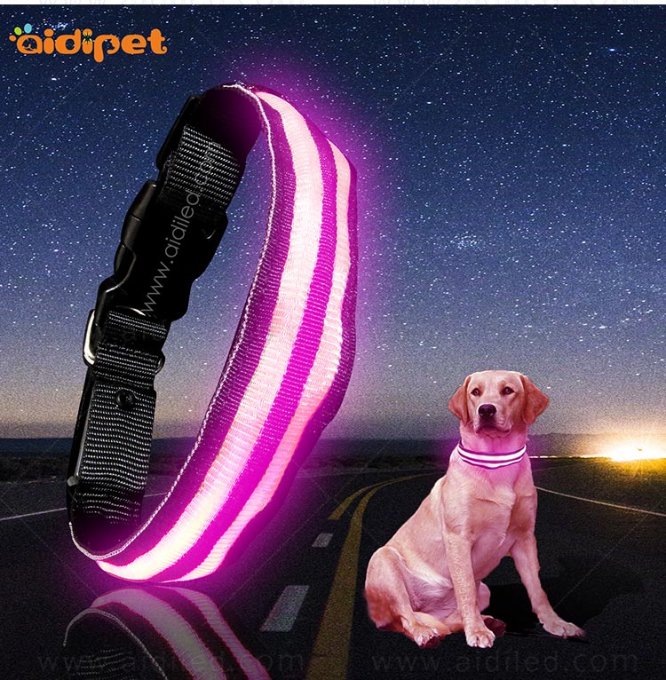 AIDI dog collar safety light design for park-10