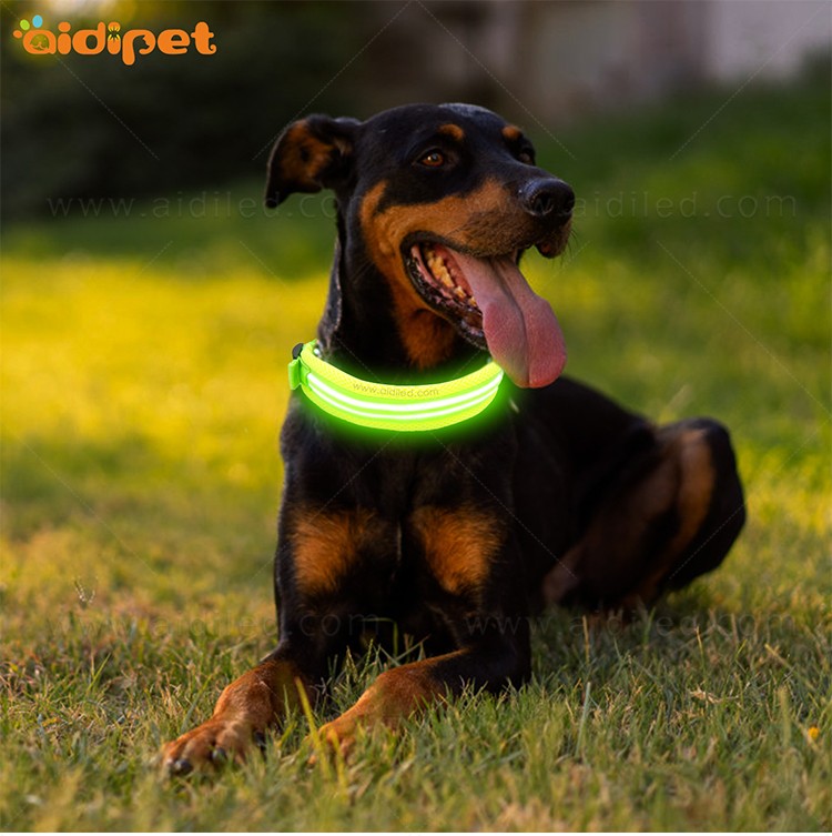 AIDI glow in the dark dog collar design for park-3