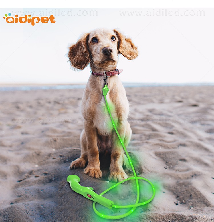 AIDI glow in the dark dog leash inquire now for park-10