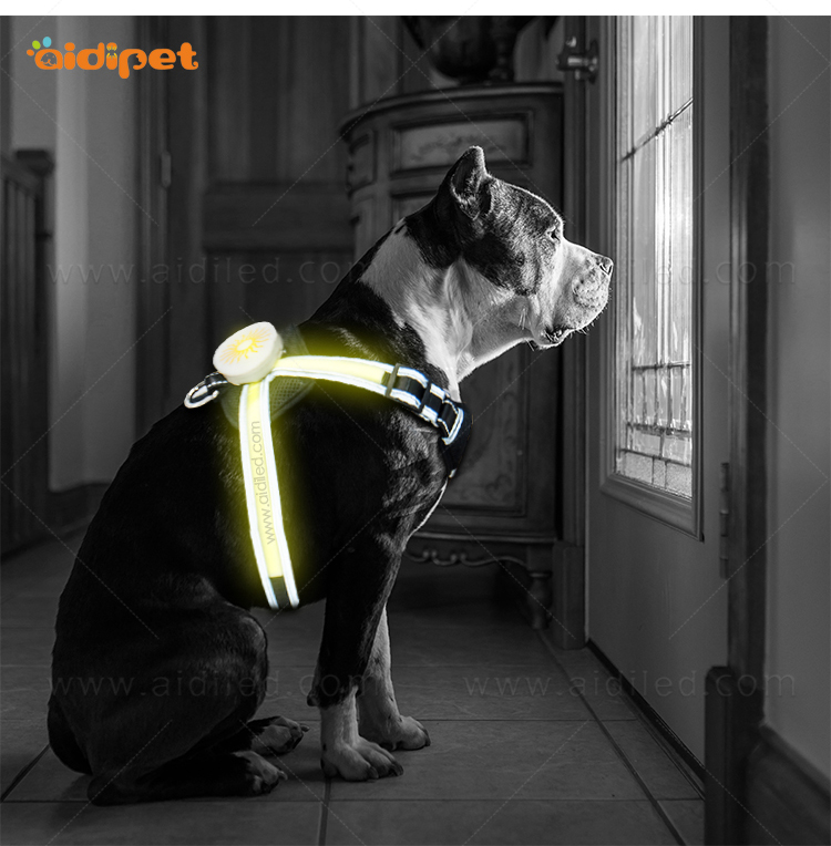 AIDI-Find Led Dog Harness Led Nylon Dog Harness Manufacturer-7