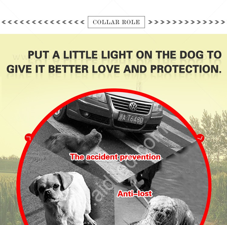 AIDI-Led Dog Harness, Reflective Rechargeable Flashing Led Dog Harness-3