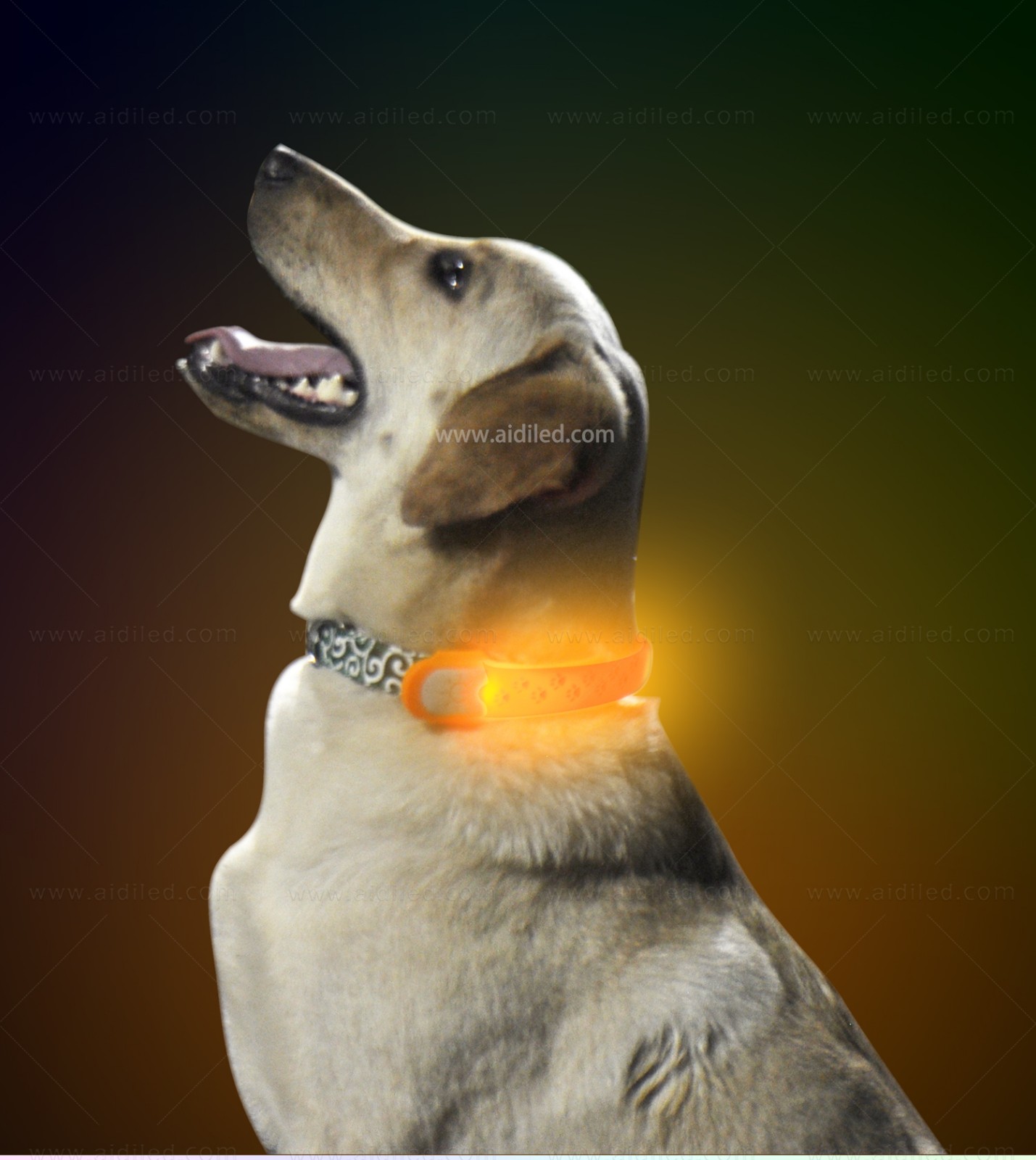 AIDI-Professional Pet Collar Accessories Flashing Dog Collar Light-6