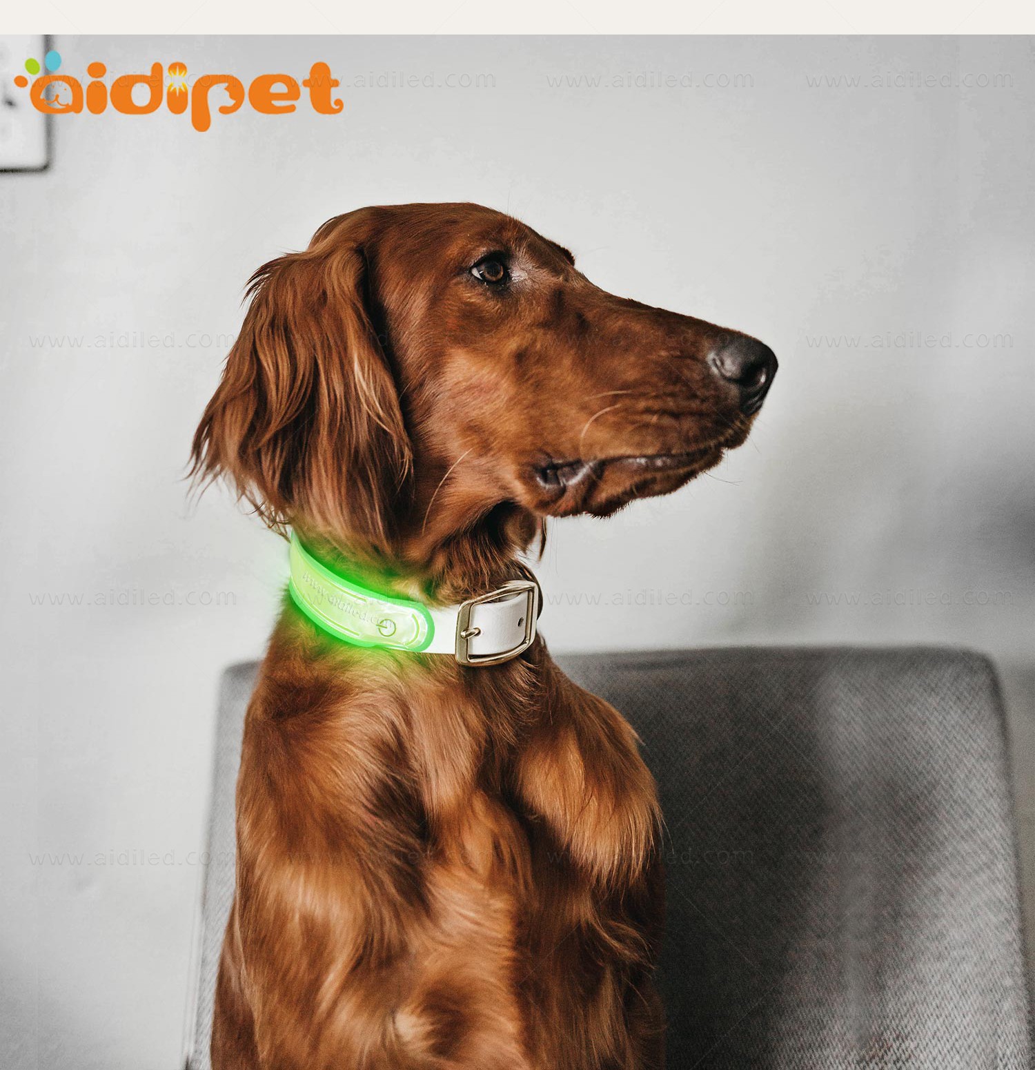 AIDI-Professional Pet Collar Accessories Dog Collar Safety Light-6