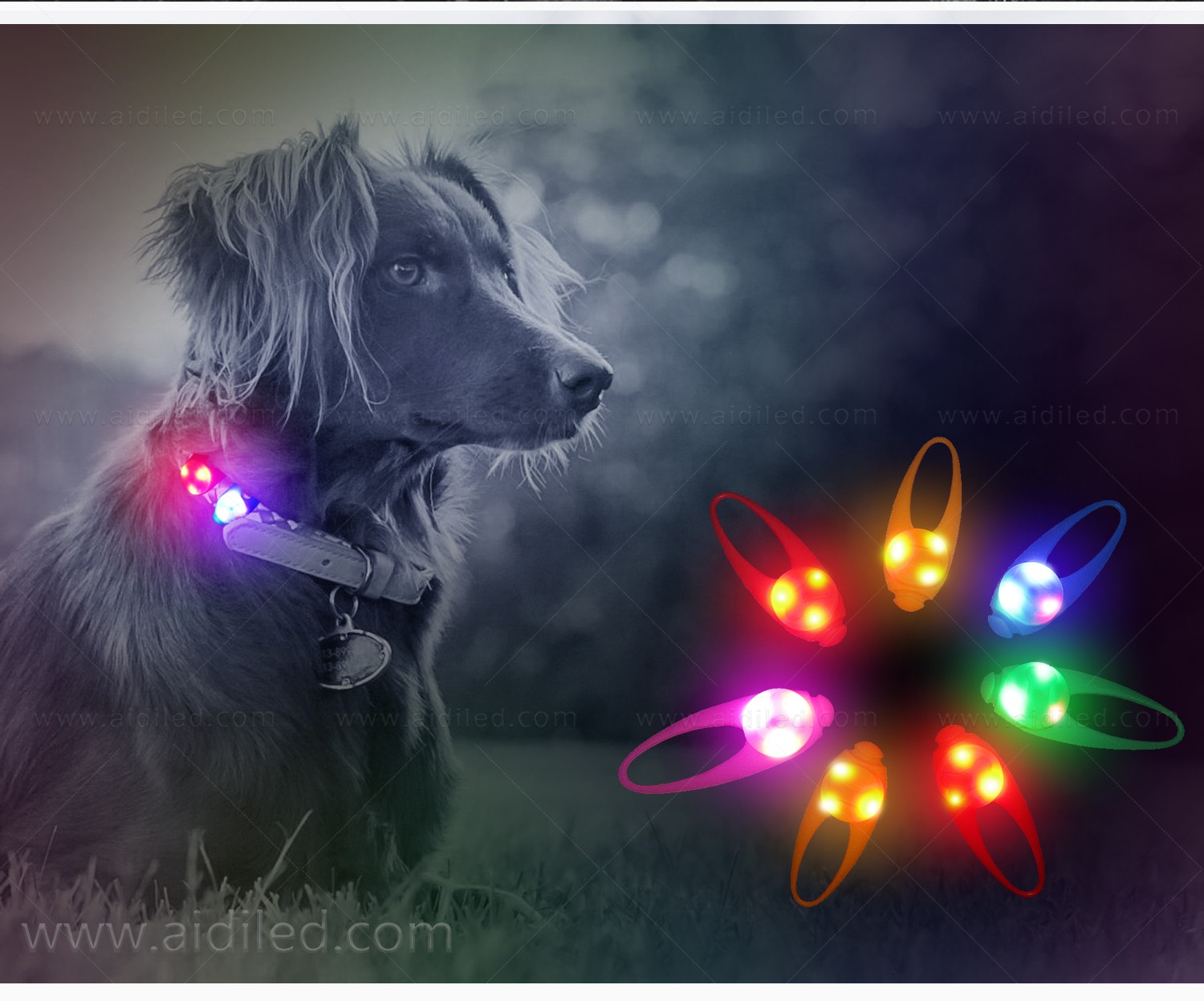AIDI dog collars and accessories wholesale for-7