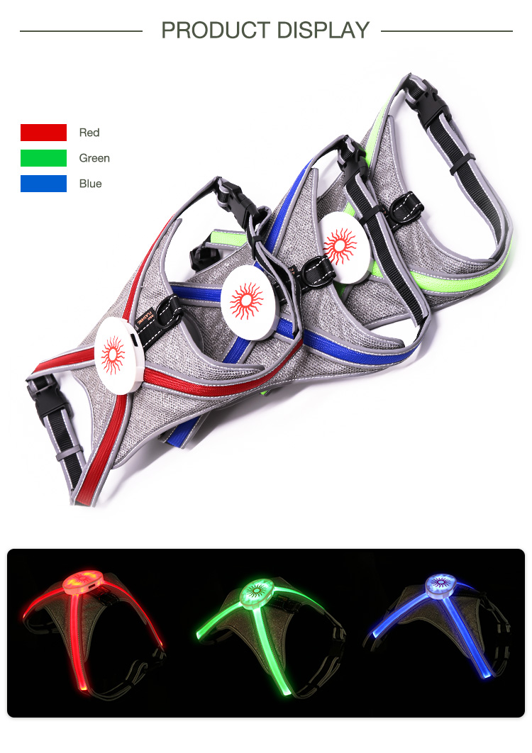 AIDI fishing net glowing dog collar series for street-5
