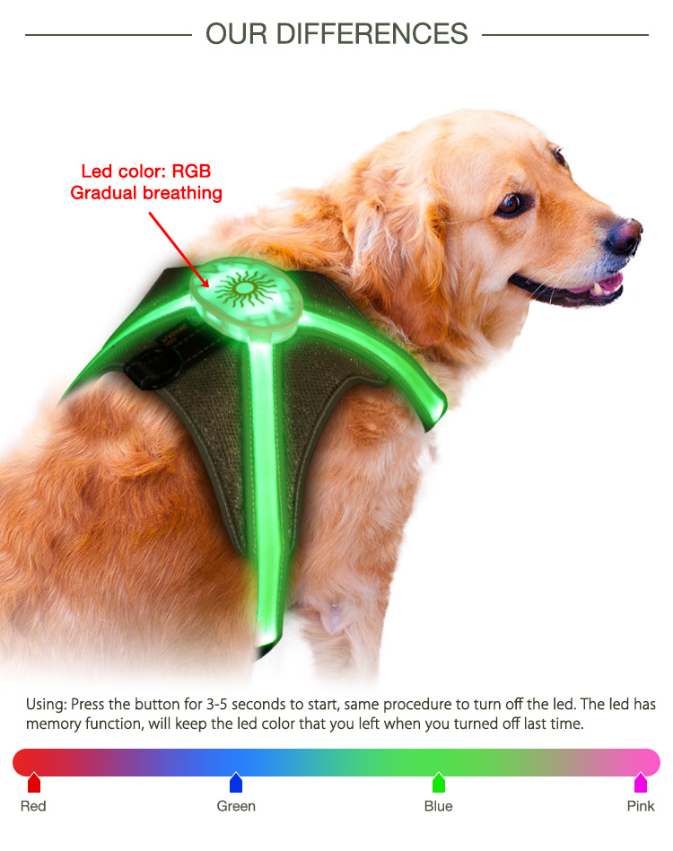 AIDI fishing net glowing dog collar series for street-6