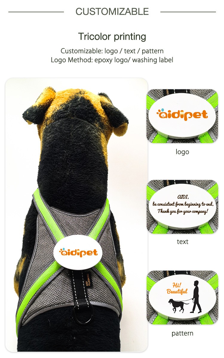 AIDI fishing net glowing dog collar series for street-8