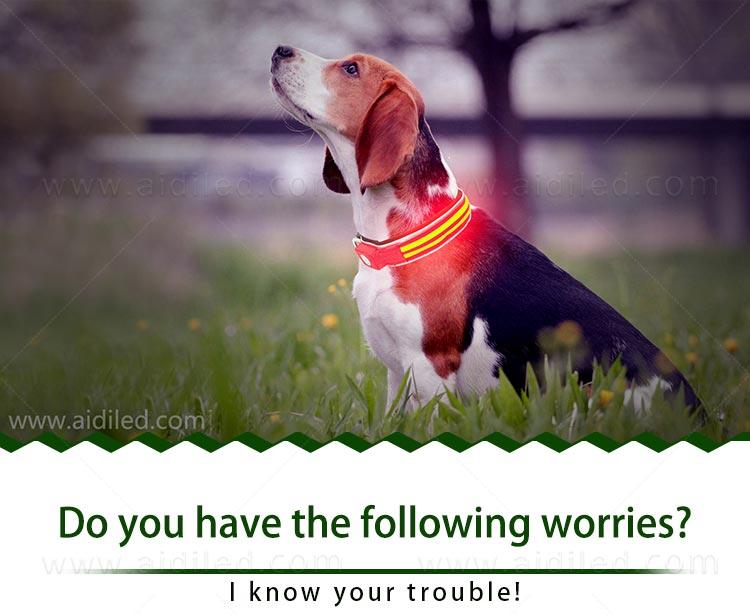 AIDI-Find Dog Collar Safety Light Aidi-c21 Wholesale Pet Dog Led-2