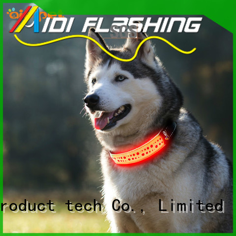 flashing dog collar pets at home