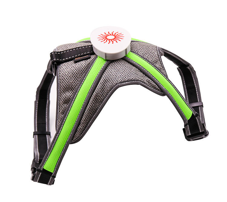 AIDI fishing net glowing dog collar series for street-1